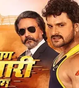 548 - DesireMovies, DesireMovies2.My