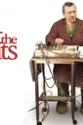 60002139 800x450 1 - DesireMovies, DesireMovies2.My