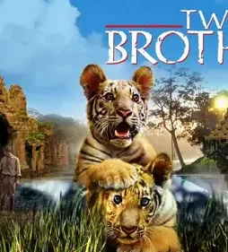 60036236 - DesireMovies, DesireMovies2.My