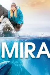 Big miracle 2012 p - DesireMovies, DesireMovies2.My