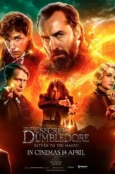 Fb - DesireMovies, DesireMovies2.My