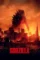 Godzilla movie cover poster - DesireMovies, DesireMovies2.My