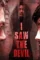 I saw the devil - DesireMovies, DesireMovies2.My