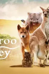 Kangaroo valley 2022 p - DesireMovies, DesireMovies2.My
