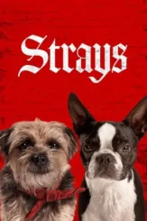 Strays 2023 - DesireMovies, DesireMovies2.My