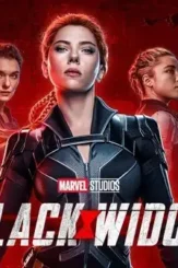 Black widow final top 1200 1024x576 1 - DesireMovies, DesireMovies2.My