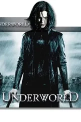 Pngguru.com_ 1 - DesireMovies, DesireMovies2.My