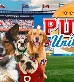 Unnamed 4 - DesireMovies, DesireMovies2.My