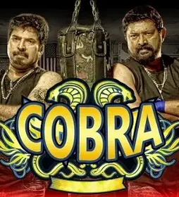 Coverss - DesireMovies, DesireMovies2.My