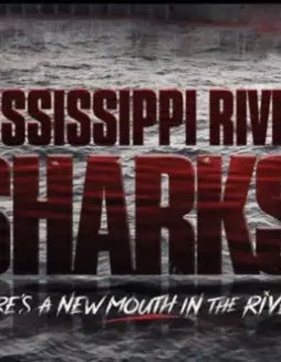 Ms river sharks - DesireMovies, DesireMovies2.My