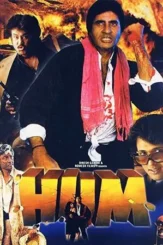 hum 1991 , DesireMovies
