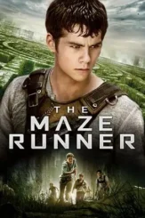 the maze runner 2014 , DesireMovies