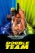 double team 1997 , desiremovies