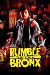 rumble in the bronx 1995 , desiremovies