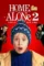 home alone 2 lost in new york 1992 , desiremovies