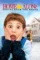 home alone 4 2002 , desiremovies